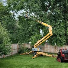 Best Fruit Tree Pruning  in Sand Hill, PA